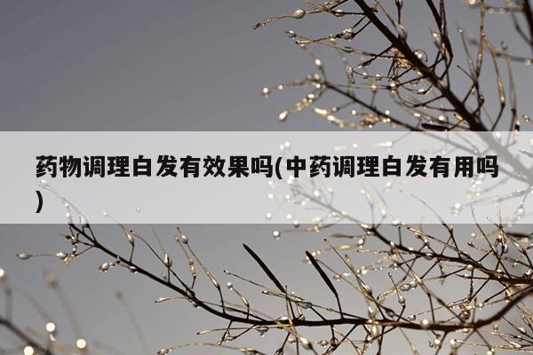 药物调理白发有效果吗(中药调理白发有用吗)