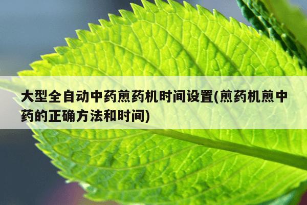 大型全自动中药煎药机时间设置(煎药机煎中药的正确方法和时间)