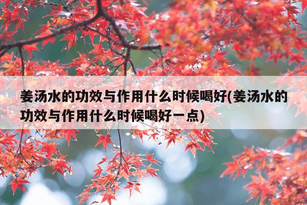 姜汤水的功效与作用什么时候喝好(姜汤水的功效与作用什么时候喝好一点)