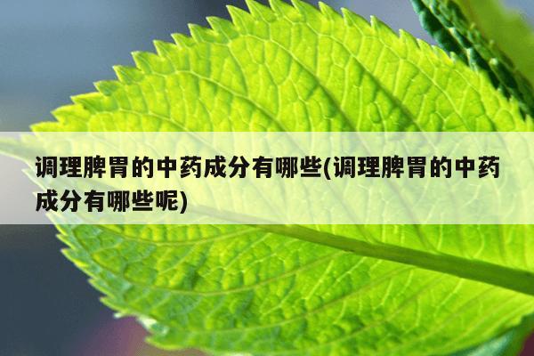 调理脾胃的中药成分有哪些(调理脾胃的中药成分有哪些呢)