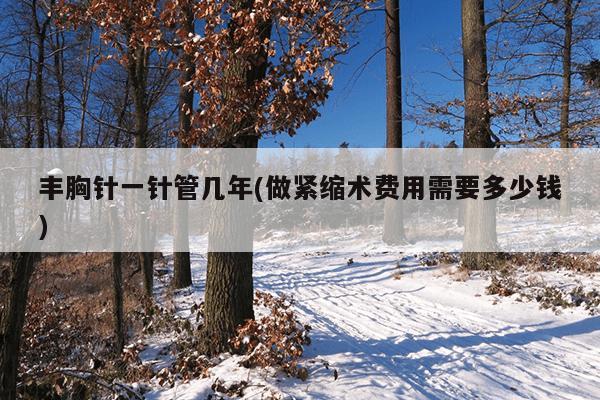 丰胸针一针管几年(做紧缩术费用需要多少钱)