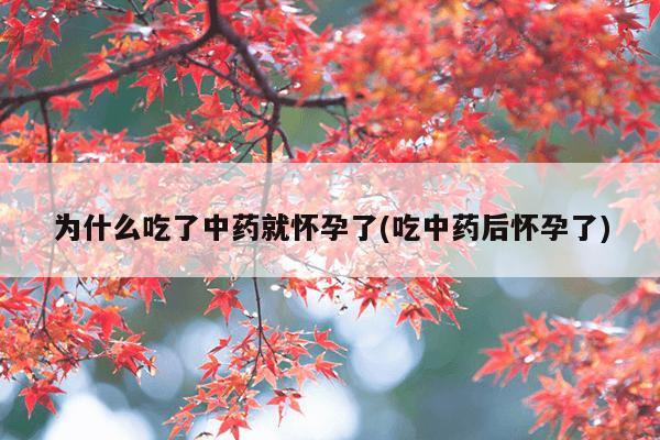 为什么吃了中药就怀孕了(吃中药后怀孕了)