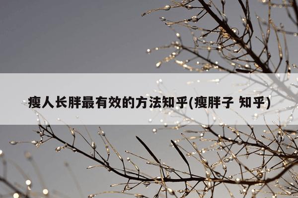 瘦人长胖最有效的方法知乎(瘦胖子 知乎)