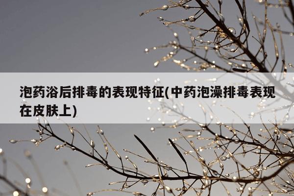 泡药浴后排毒的表现特征(中药泡澡排毒表现在皮肤上)