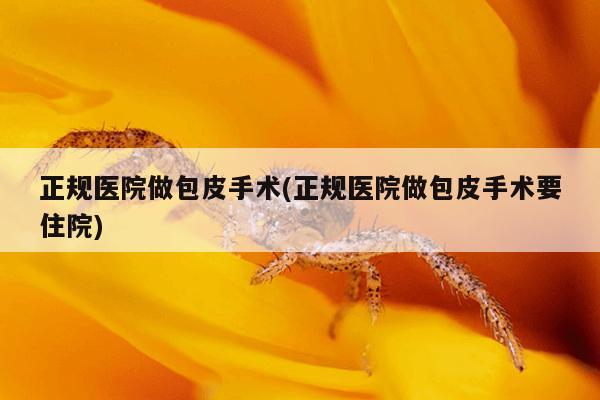 正规医院做包皮手术(正规医院做包皮手术要住院)