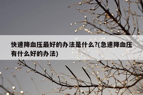 快速降血压最好的办法是什么?(急速降血压有什么好的办法)