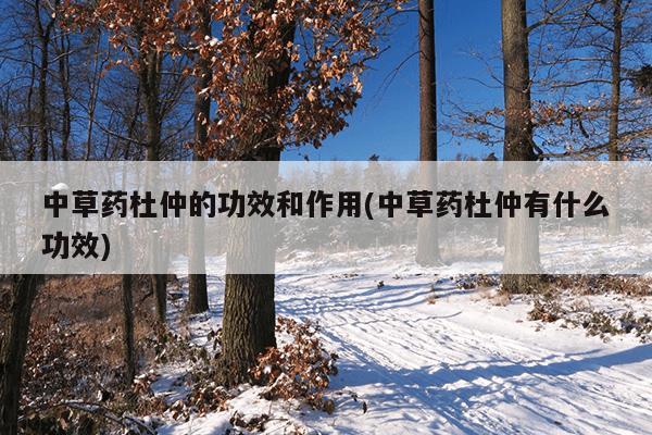 中草药杜仲的功效和作用(中草药杜仲有什么功效)