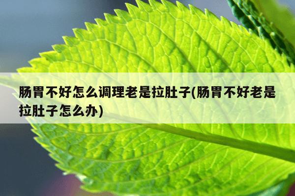 肠胃不好怎么调理老是拉肚子(肠胃不好老是拉肚子怎么办)