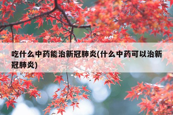 吃什么中药能治新冠肺炎(什么中药可以治新冠肺炎)
