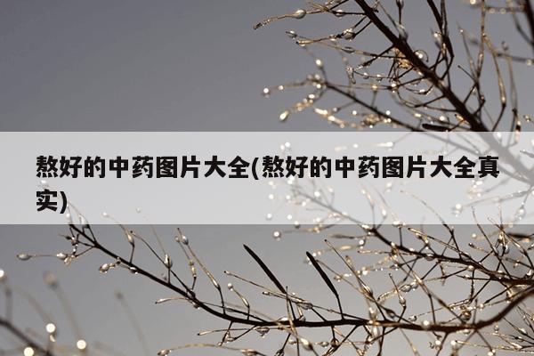 熬好的中药图片大全(熬好的中药图片大全真实)