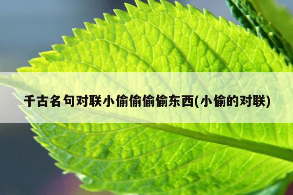 千古名句对联小偷偷偷偷东西(小偷的对联)