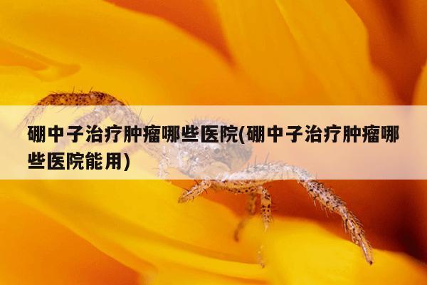 硼中子治疗肿瘤哪些医院(硼中子治疗肿瘤哪些医院能用)