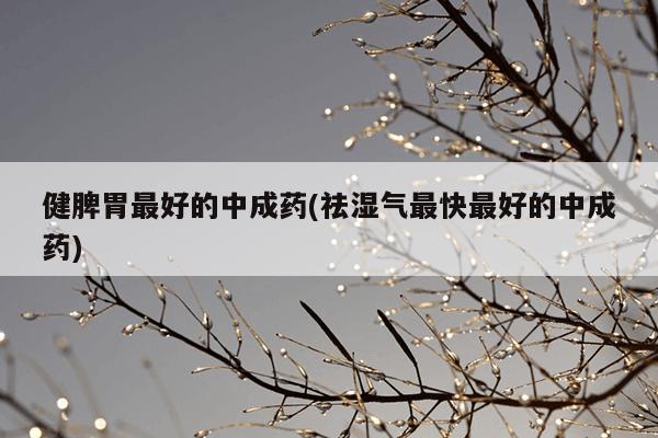 健脾胃最好的中成药(祛湿气最快最好的中成药)