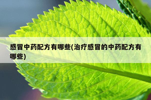 感冒中药配方有哪些(治疗感冒的中药配方有哪些)