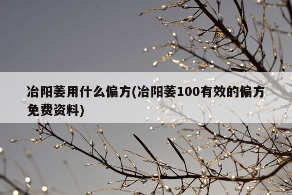 冶阳萎用什么偏方(冶阳萎100有效的偏方免费资料)