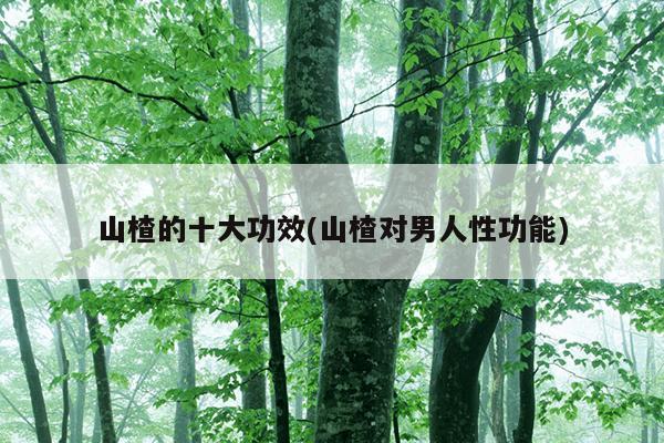 山楂的十大功效(山楂对男人性功能)