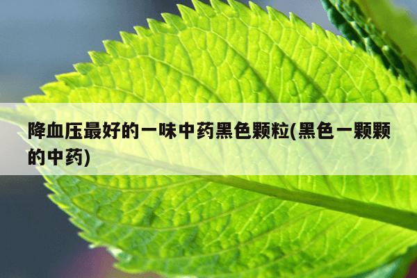 降血压最好的一味中药黑色颗粒(黑色一颗颗的中药)