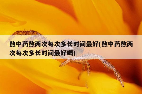 熬中药熬两次每次多长时间最好(熬中药熬两次每次多长时间最好喝)