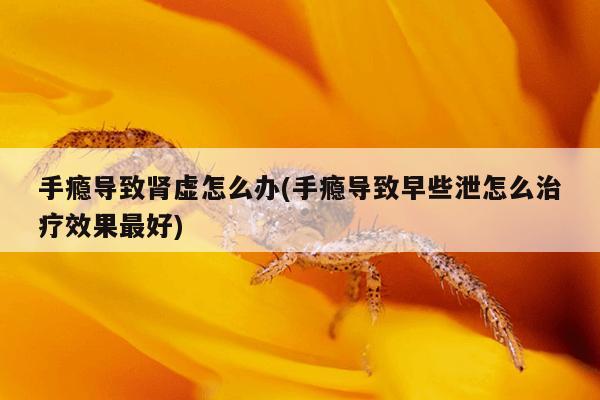 手瘾导致肾虚怎么办(手瘾导致早些泄怎么治疗效果最好)