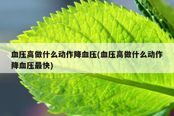血压高做什么动作降血压(血压高做什么动作降血压最快)
