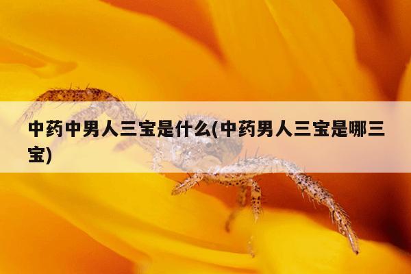 中药中男人三宝是什么(中药男人三宝是哪三宝)