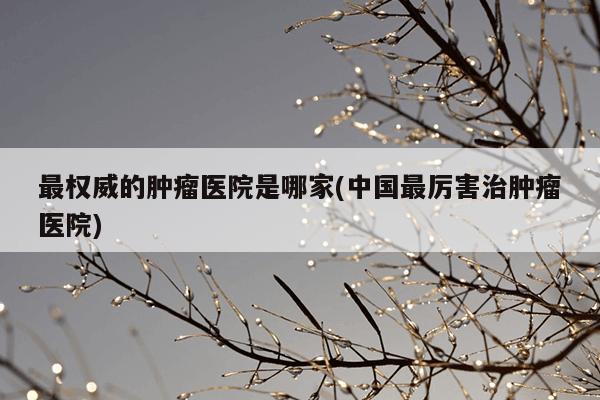 最权威的肿瘤医院是哪家(中国最厉害治肿瘤医院)