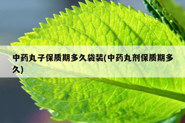 中药丸子保质期多久袋装(中药丸剂保质期多久)