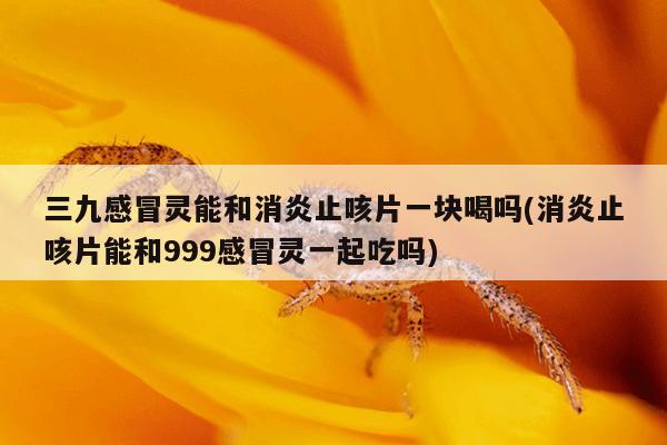 三九感冒灵能和消炎止咳片一块喝吗(消炎止咳片能和999感冒灵一起吃吗)