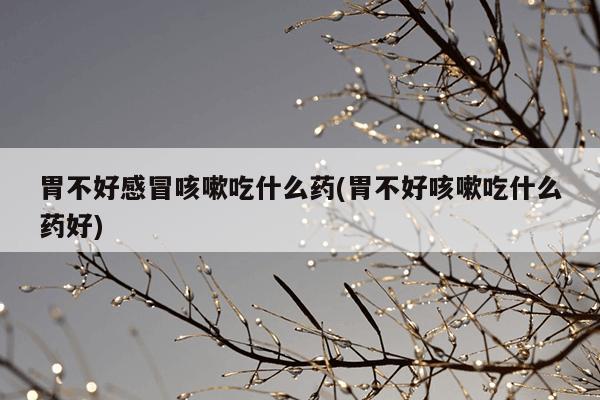 胃不好感冒咳嗽吃什么药(胃不好咳嗽吃什么药好)
