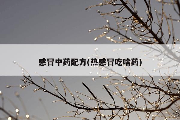 感冒中药配方(热感冒吃啥药)