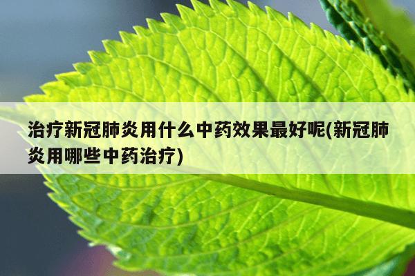 治疗新冠肺炎用什么中药效果最好呢(新冠肺炎用哪些中药治疗)