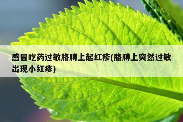 感冒吃药过敏胳膊上起红疹(胳膊上突然过敏出现小红疹)