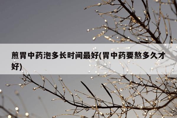 煎胃中药泡多长时间最好(胃中药要熬多久才好)