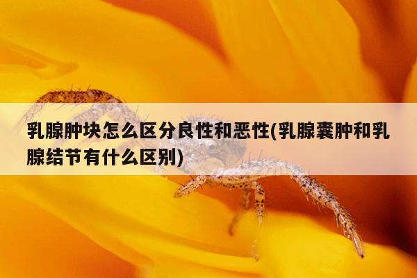 乳腺肿块怎么区分良性和恶性(乳腺囊肿和乳腺结节有什么区别)