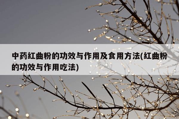 中药红曲粉的功效与作用及食用方法(红曲粉的功效与作用吃法)