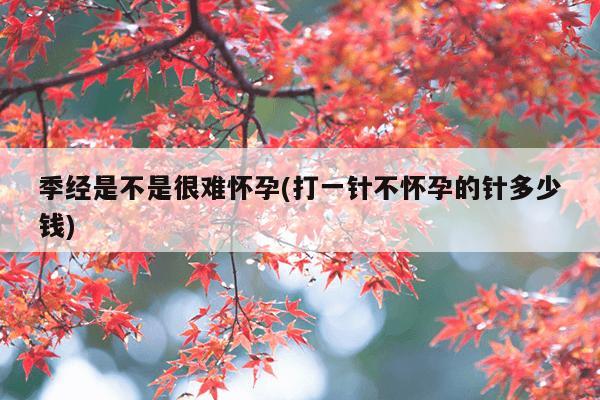 季经是不是很难怀孕(打一针不怀孕的针多少钱)