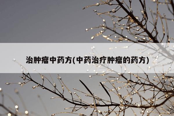治肿瘤中药方(中药治疗肿瘤的药方)