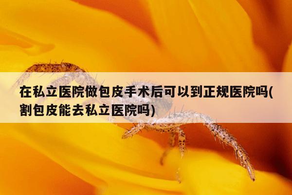 在私立医院做包皮手术后可以到正规医院吗(割包皮能去私立医院吗)