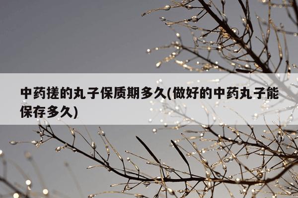 中药搓的丸子保质期多久(做好的中药丸子能保存多久)