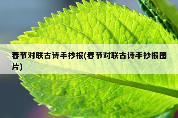 春节对联古诗手抄报(春节对联古诗手抄报图片)