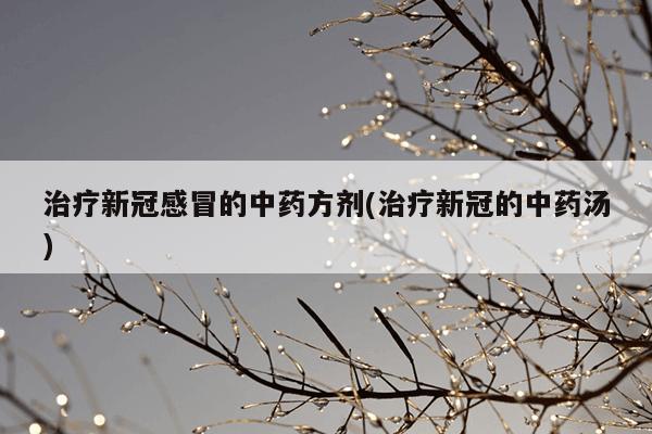 治疗新冠感冒的中药方剂(治疗新冠的中药汤)