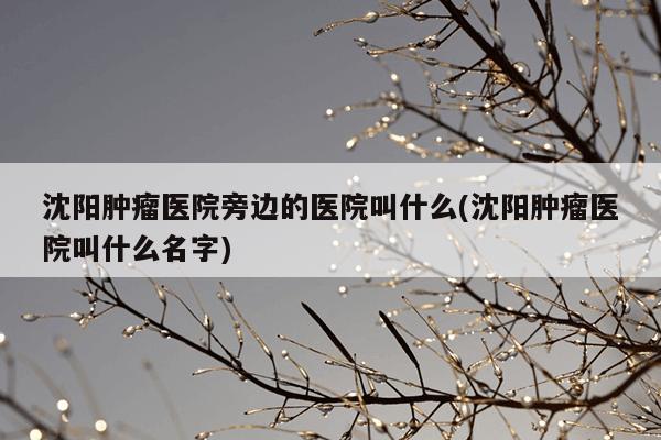 沈阳肿瘤医院旁边的医院叫什么(沈阳肿瘤医院叫什么名字)