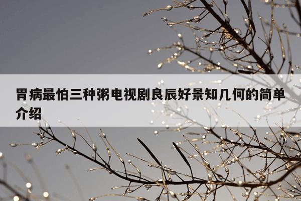 胃病最怕三种粥电视剧良辰好景知几何的简单介绍