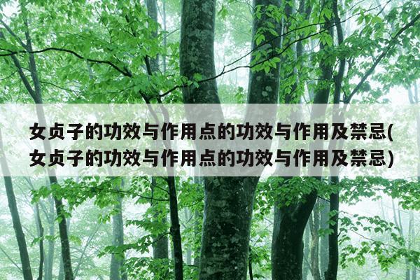 女贞子的功效与作用点的功效与作用及禁忌(女贞子的功效与作用点的功效与作用及禁忌)