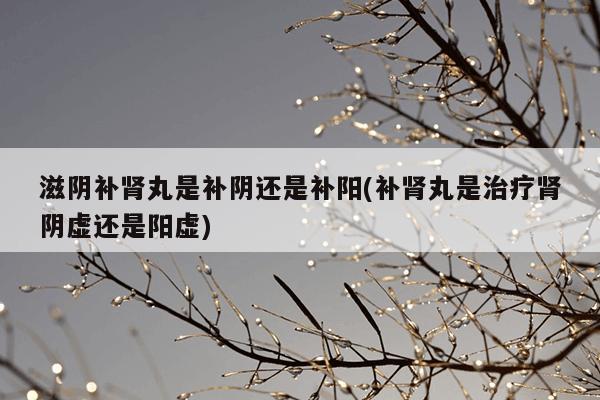 滋阴补肾丸是补阴还是补阳(补肾丸是治疗肾阴虚还是阳虚)