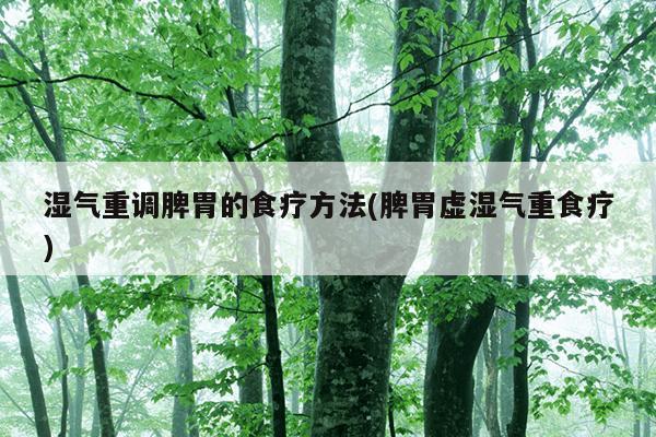 湿气重调脾胃的食疗方法(脾胃虚湿气重食疗)