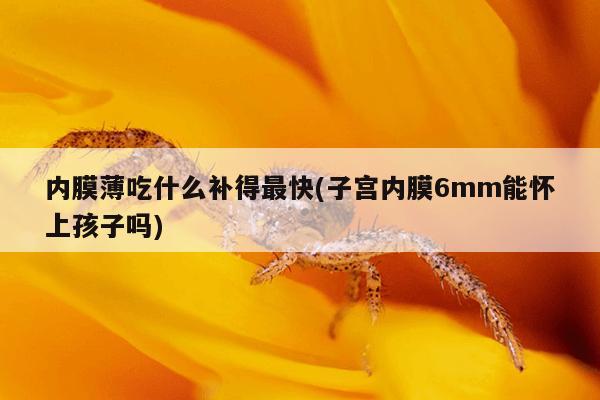 内膜薄吃什么补得最快(子宫内膜6mm能怀上孩子吗)