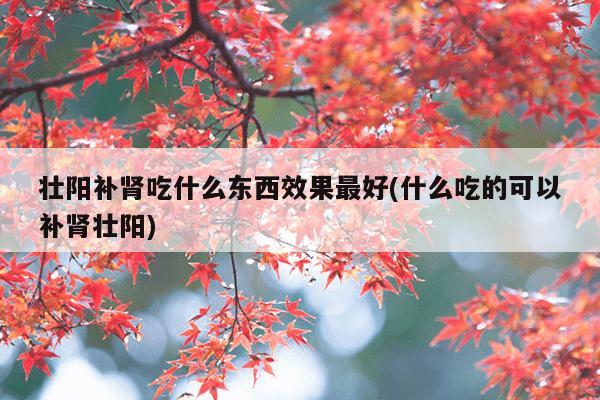 壮阳补肾吃什么东西效果最好(什么吃的可以补肾壮阳)