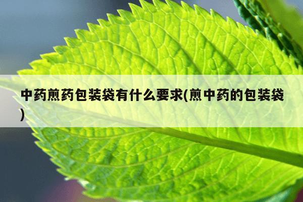 中药煎药包装袋有什么要求(煎中药的包装袋)