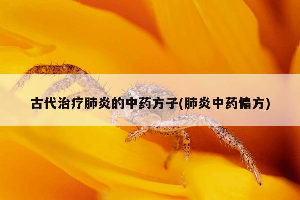 古代治疗肺炎的中药方子(肺炎中药偏方)